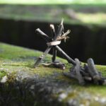 Close-up of a small stick teepee on a moss-covered wall outdoors in daylight.